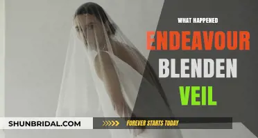 Endeavour's Blenden Veil Mystery: Unraveling the Enigmatic Event