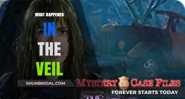 Unveiling the Mystery: Exploring the Events Behind the Veil