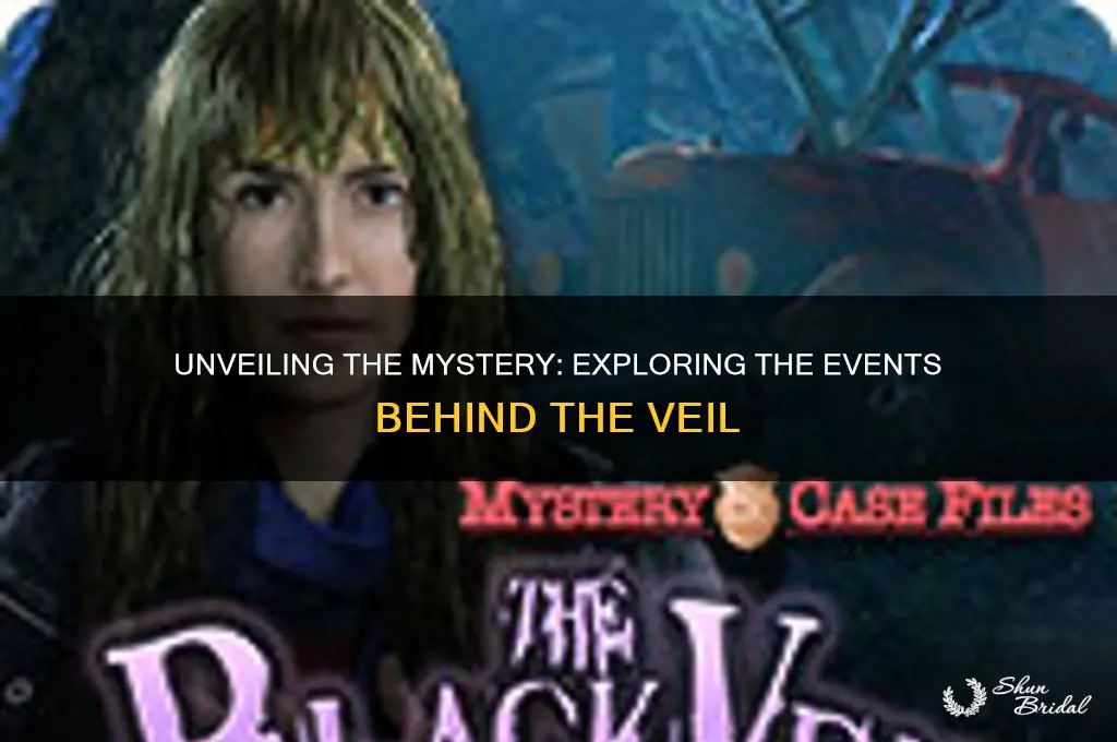 what happened in the veil