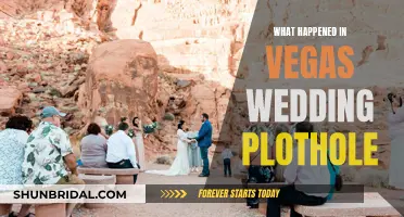 Vegas Wedding Plot Hole: What Really Happened?