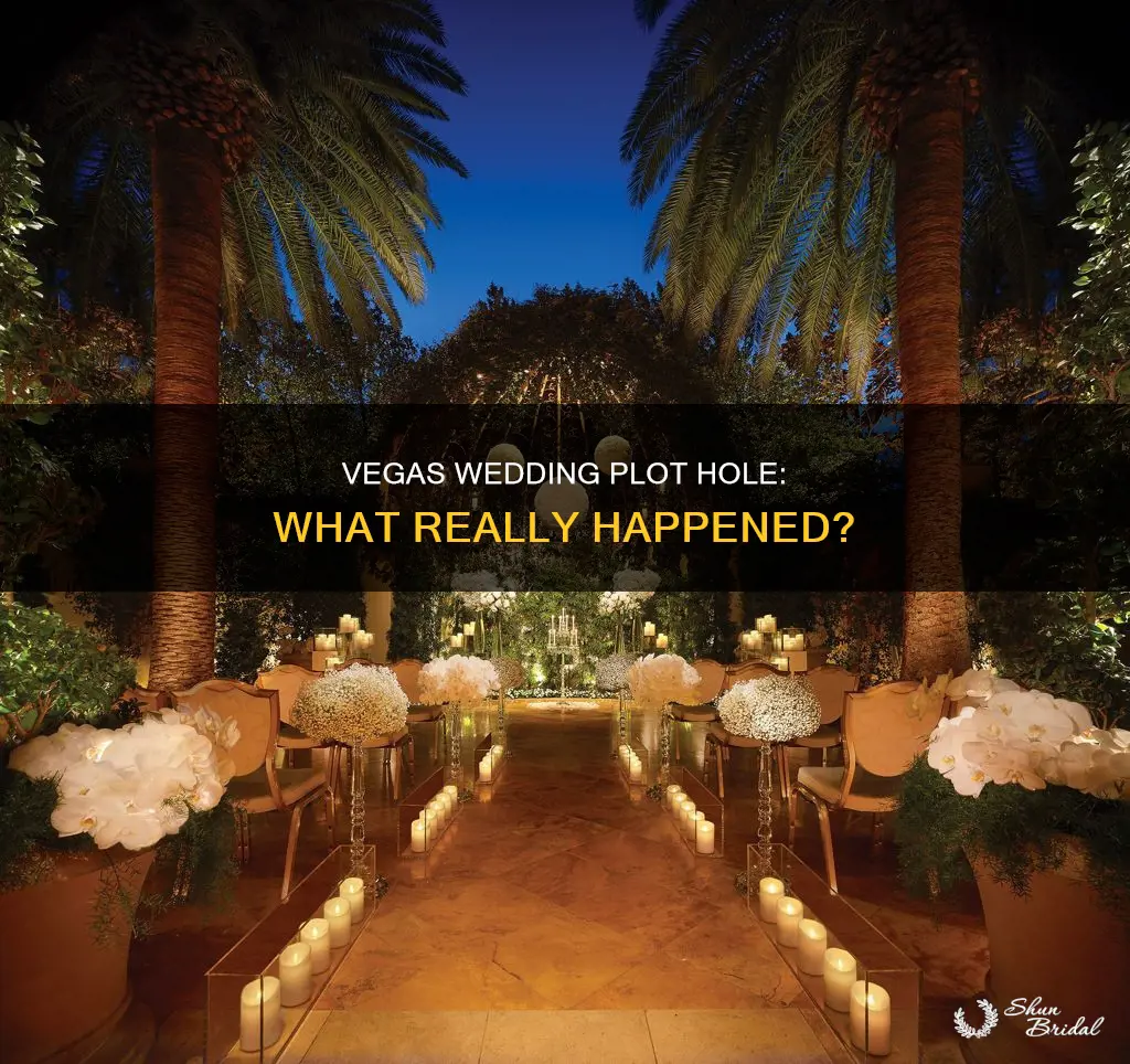 what happened in vegas wedding plothole