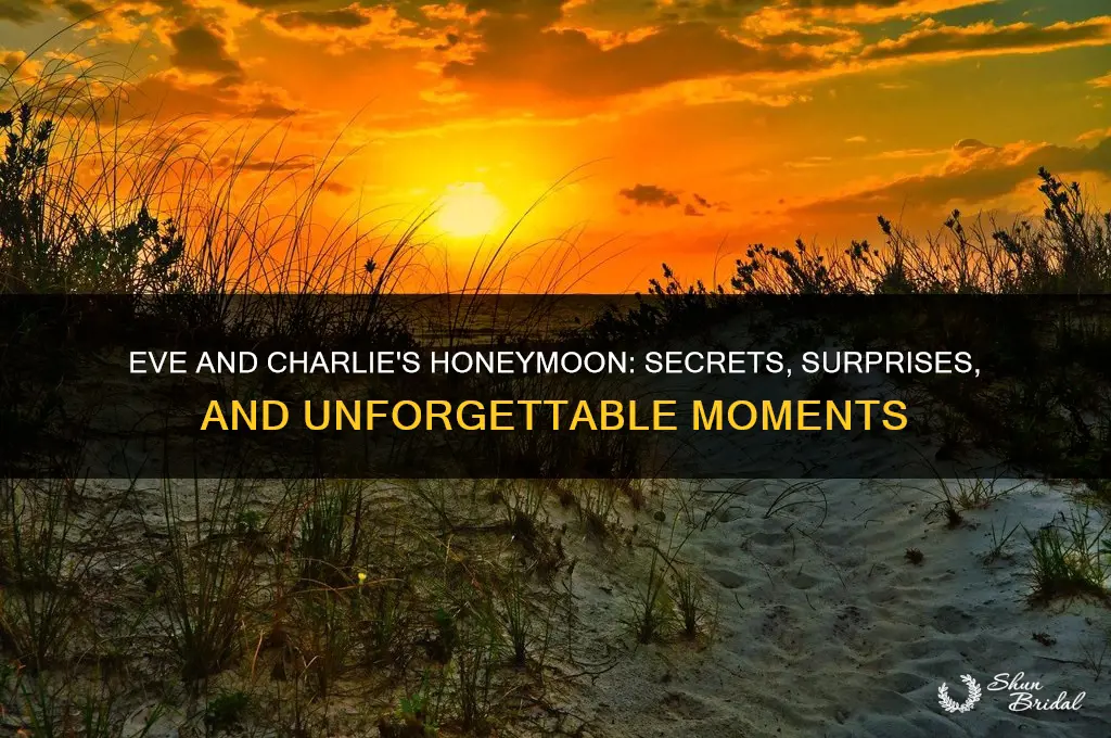 what happened on eve and charlie