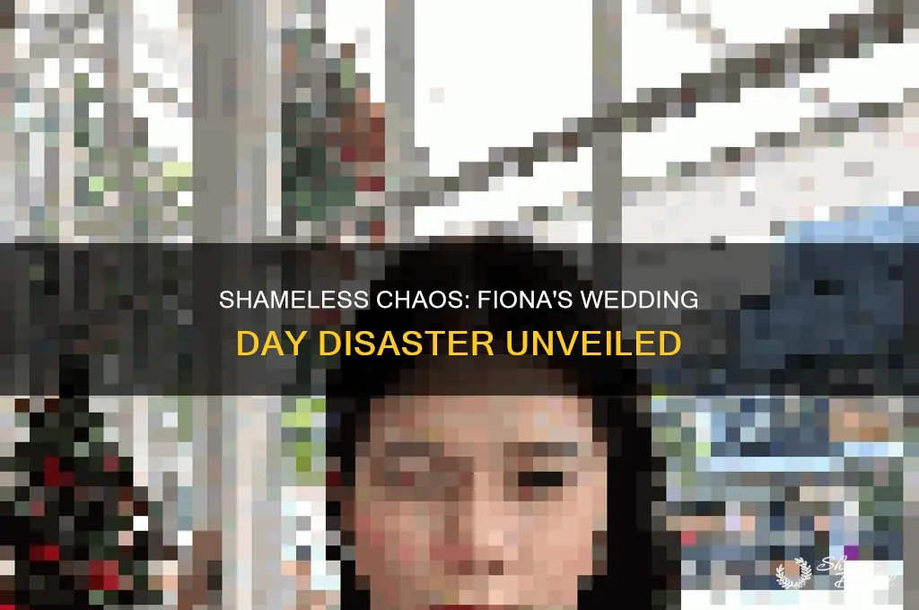 what happened on fiona