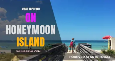 Honeymoon Island's Hidden History: A Journey of Secrets and Surprises