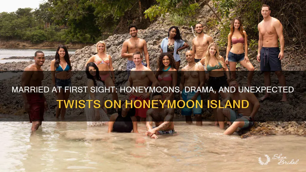 what happened on married at first sight honeymoon island