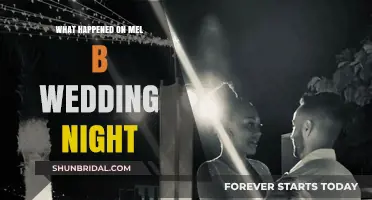 Mel B's Wedding Night Secrets: Shocking Revelations and Untold Stories