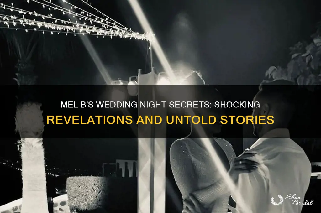what happened on mel b wedding night