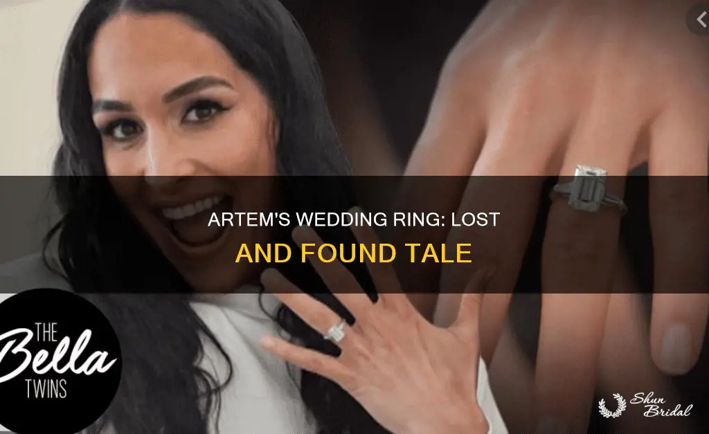 what happened to artem
