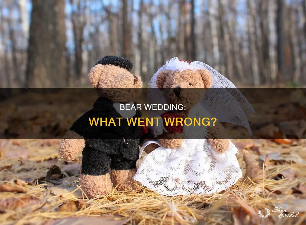 what happened to bear wedding