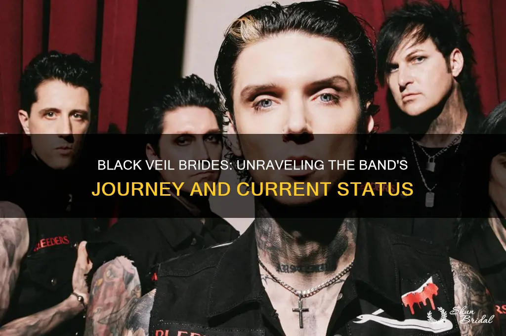 what happened to black veil brides
