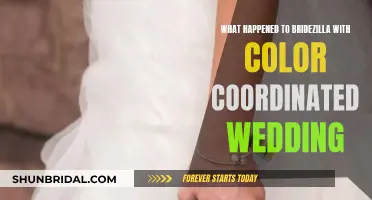 Bridezilla's Color-Coordinated Wedding Chaos