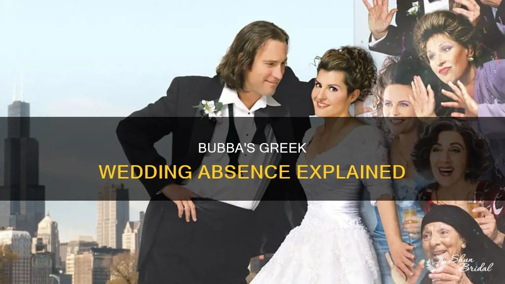 what happened to bubba on my big fat greek wedding