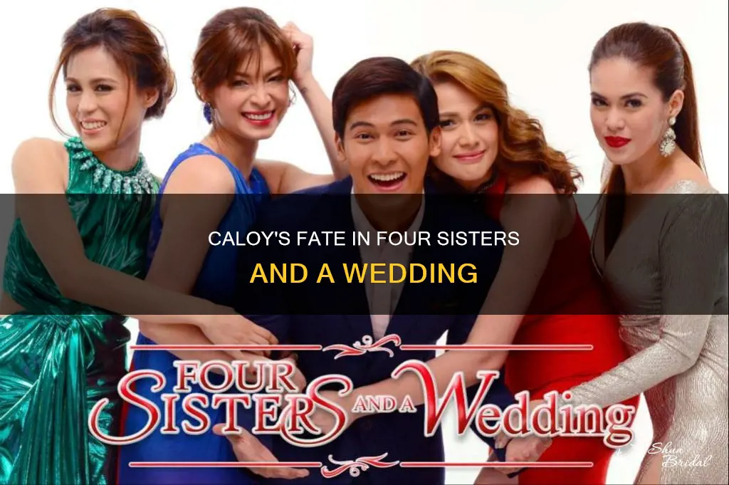 what happened to caloy in four sisters and a wedding