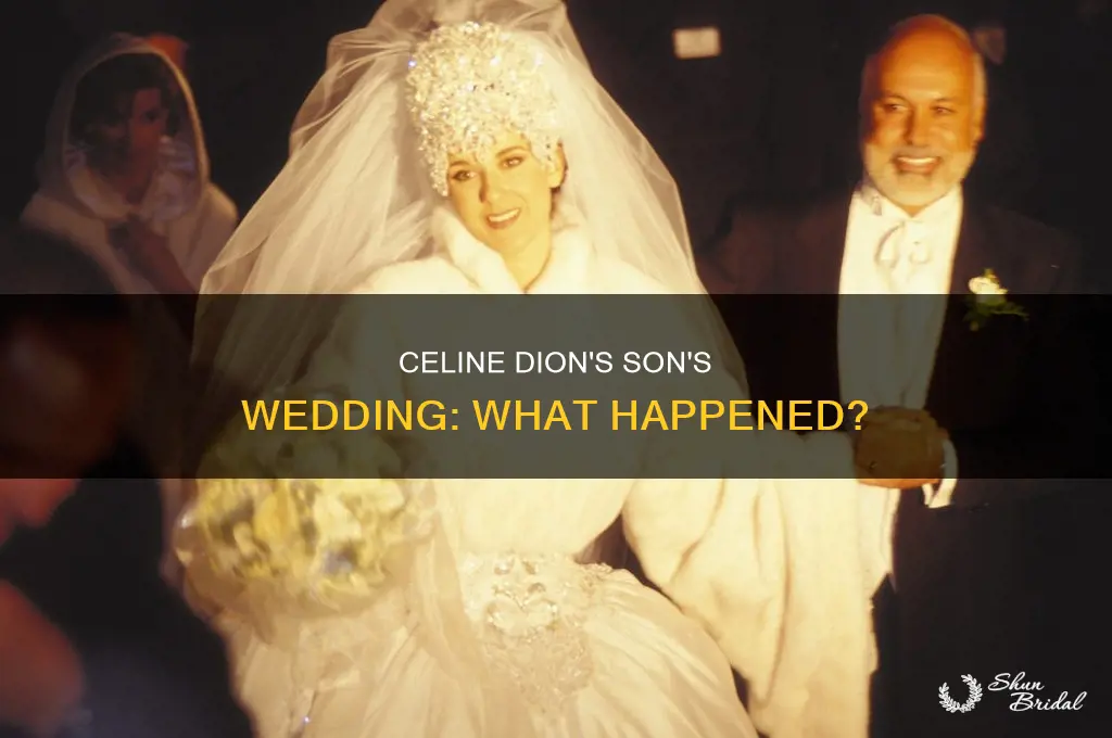 what happened to celine dion son