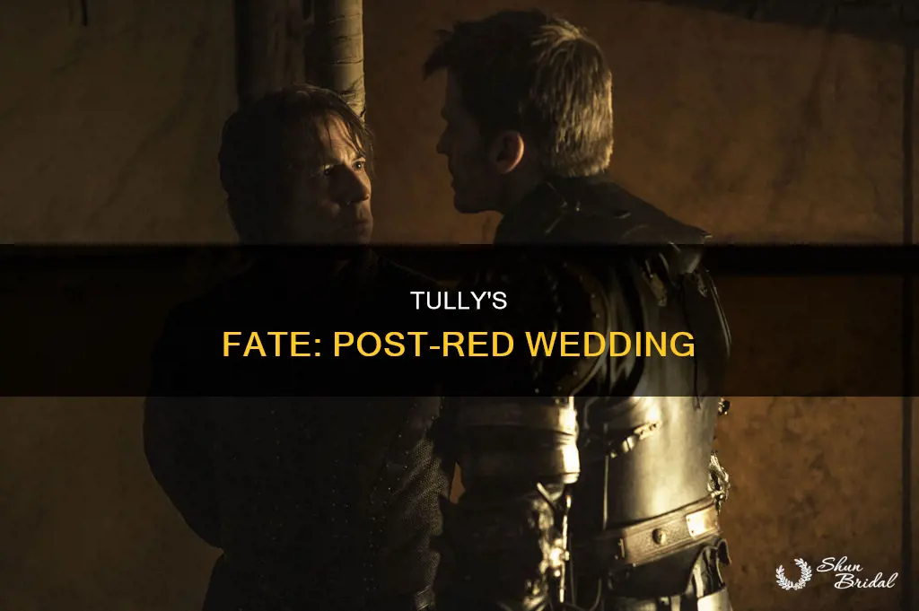 what happened to edmure tully after the red wedding