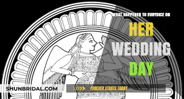 Eurydice's Tragic Wedding Day: Unraveling the Myth's Heartbreaking Twist