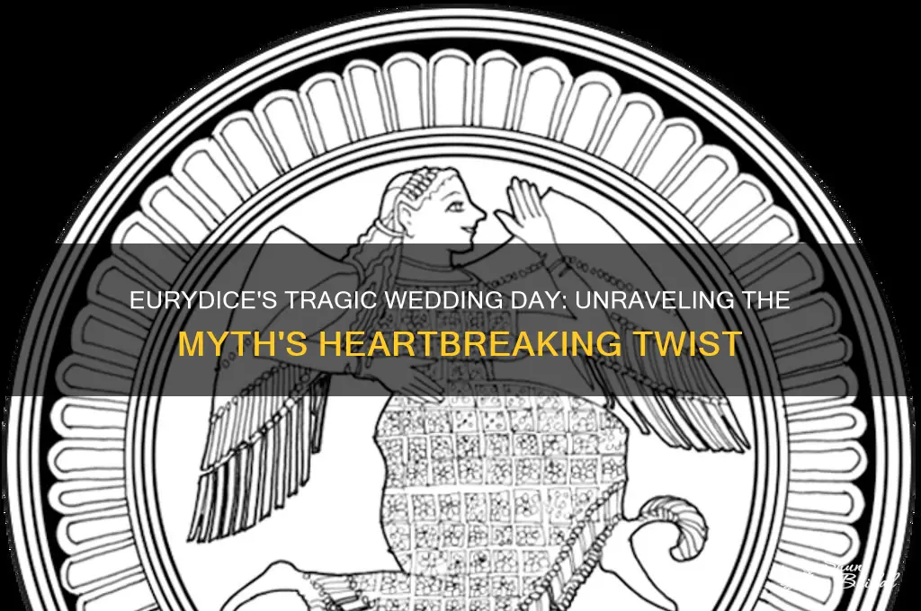 what happened to eurydice on her wedding day