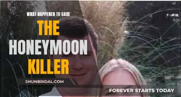 The Honeymoon Killer's Fate: Unraveling Gabe's Mysterious Disappearance