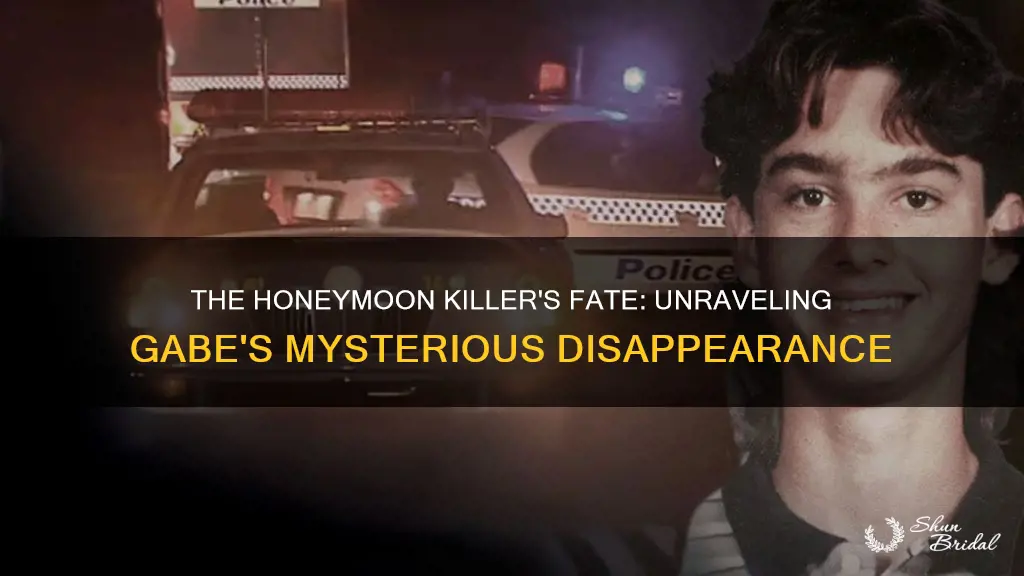 what happened to gabe the honeymoon killer