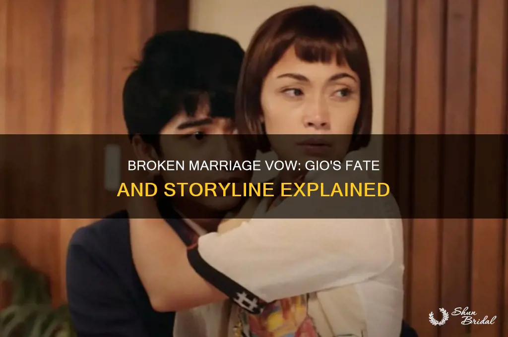what happened to gio in broken marriage vow