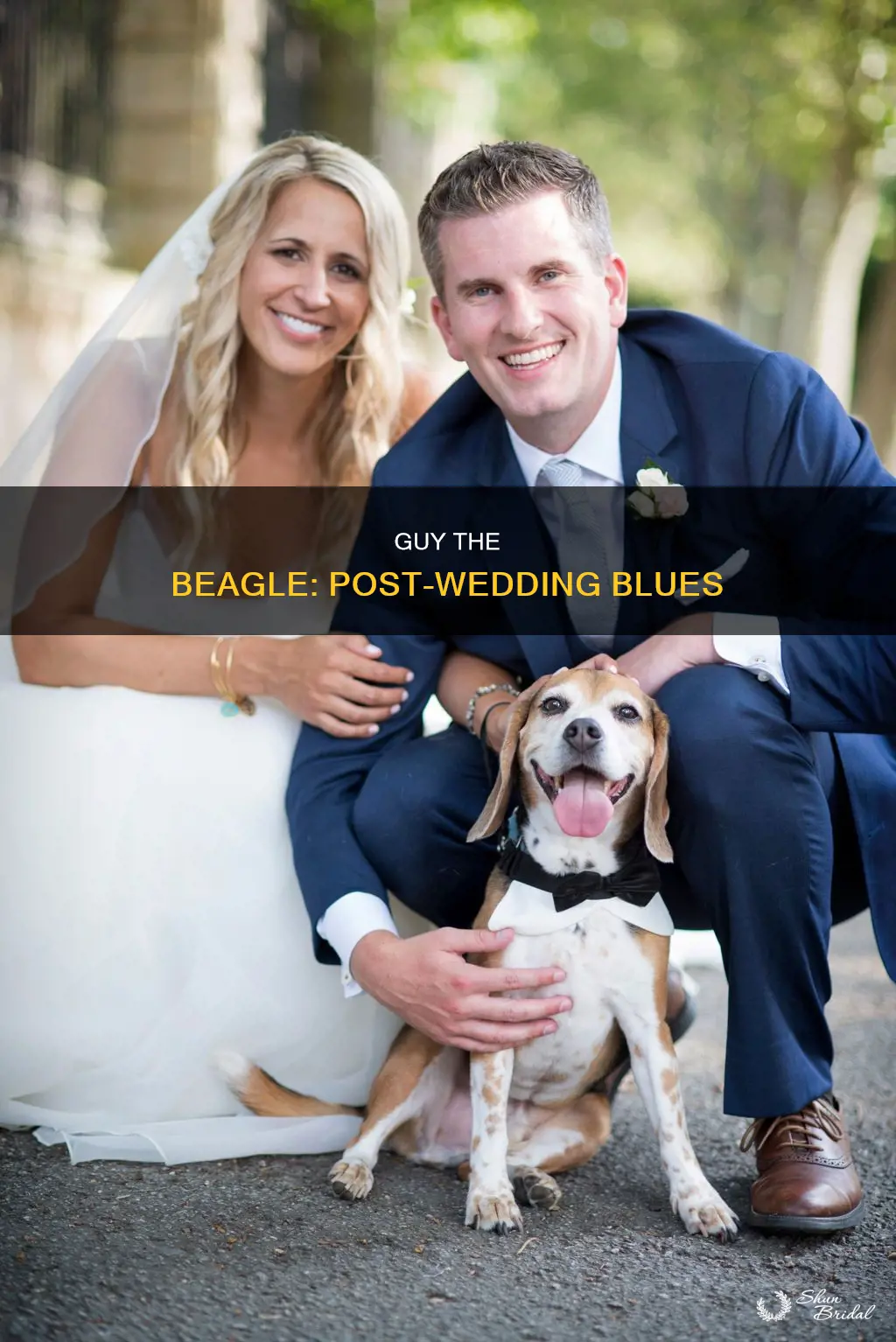 what happened to guy the beagle after the wedding