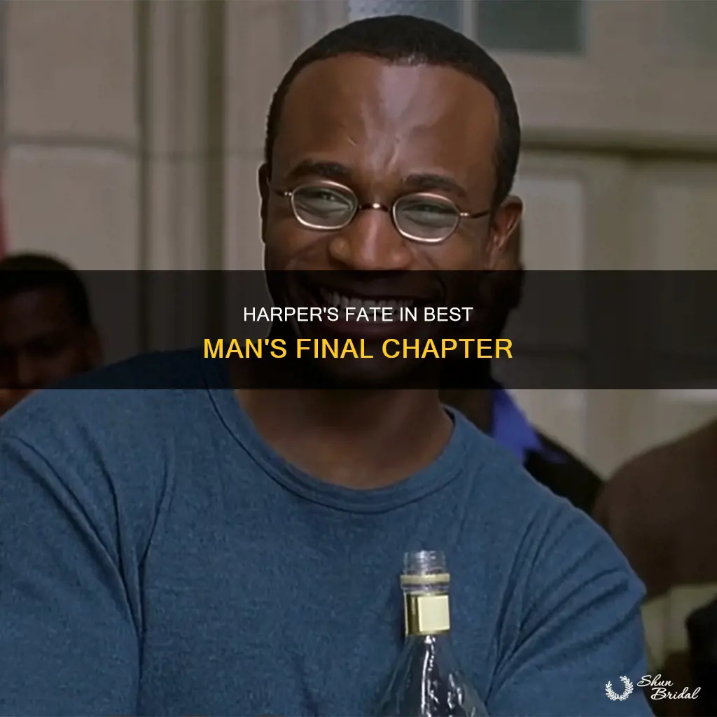 what happened to harper in best man final chapter