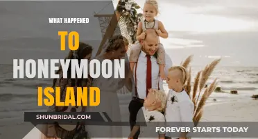 Honeymoon Island's Transformation: From Romance to Environmental Revival