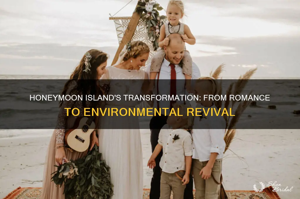 what happened to honeymoon island