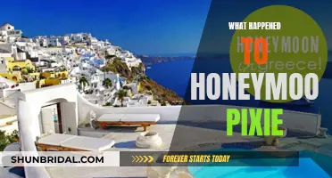 Honeymoon Pixie: Where Did It All Go Wrong?