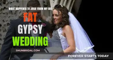 Josie's Journey: From My Big Fat Gypsy Wedding