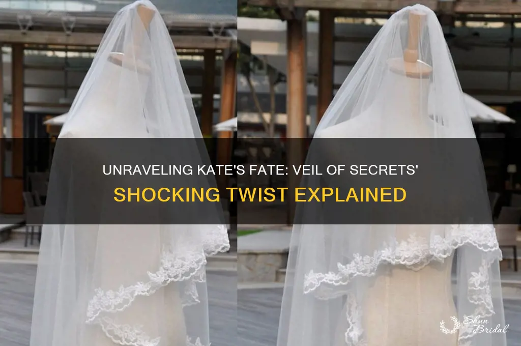 what happened to kate in veil of secrets