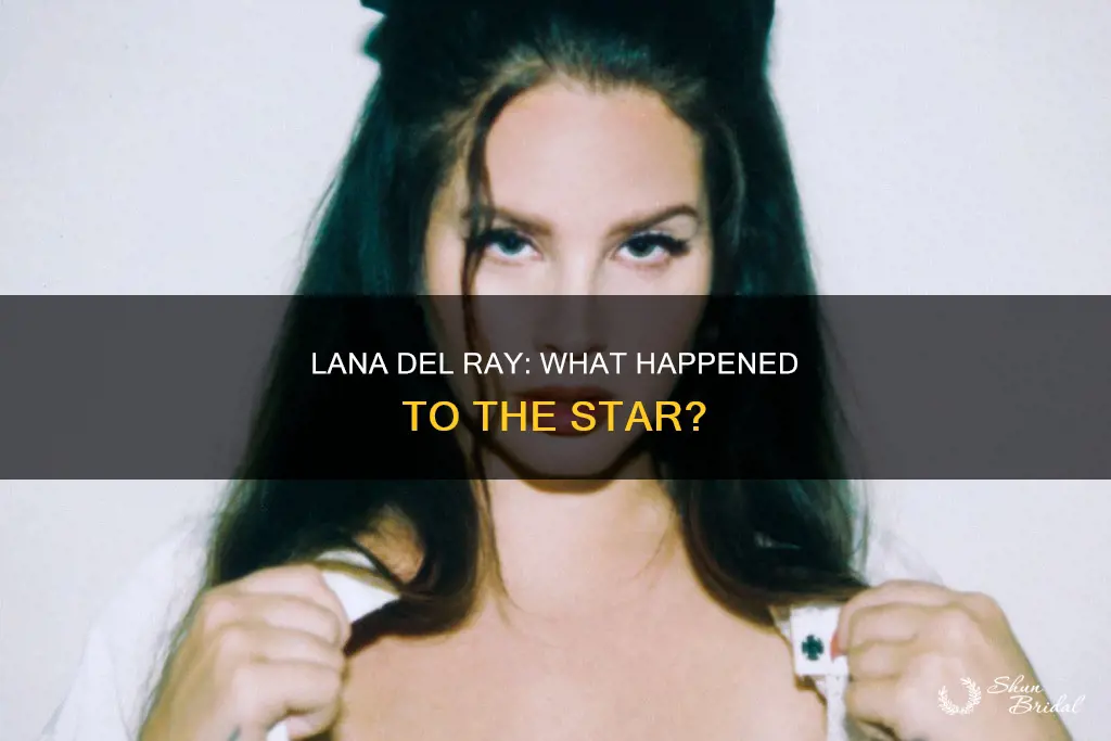 what happened to lana del ray