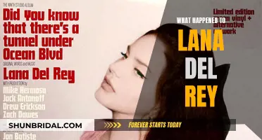 Lana Del Rey: Her Story and Struggles