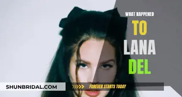 Lana Del Rey's Evolution: From 'Born to Die' to 'Norman F**king Rockwell!