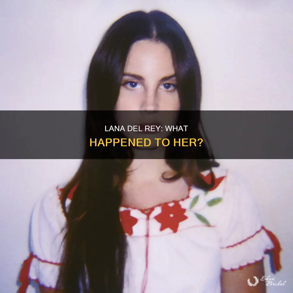 what happened to lana del