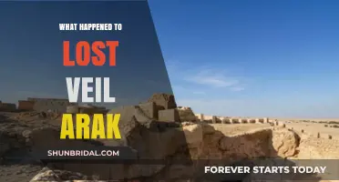 Lost Veil Arak's Mysterious Disappearance: Unraveling the Untold Story