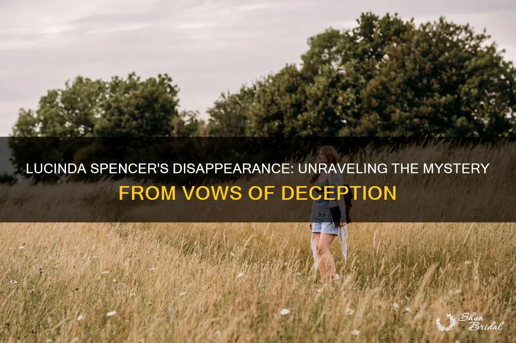 what happened to lucinda spencer from vows of deception