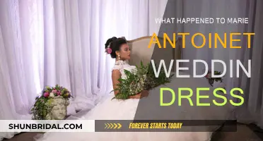Marie Antoinette's Wedding Dress: A Historical Mystery