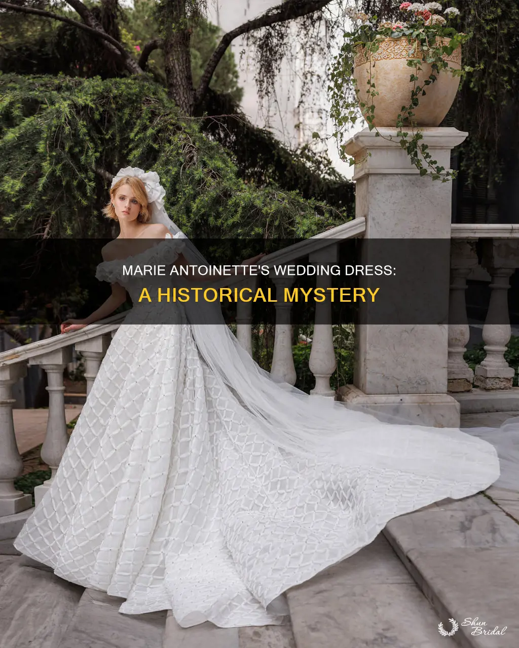 what happened to marie antoinettes wedding dress