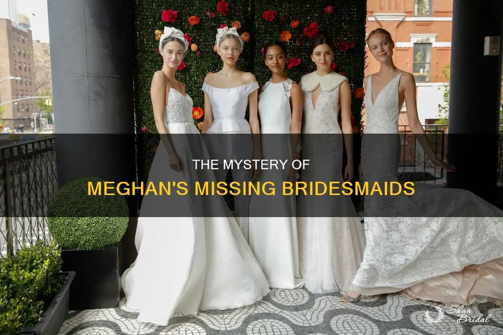 what happened to meghan