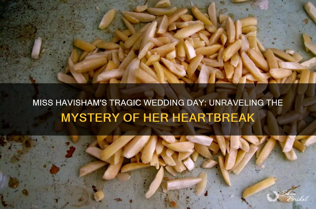 what happened to miss havisham on her wedding day