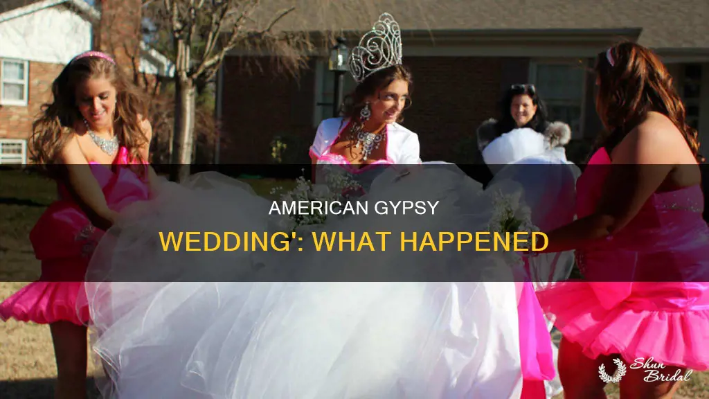 what happened to my big fat american gypsy wedding