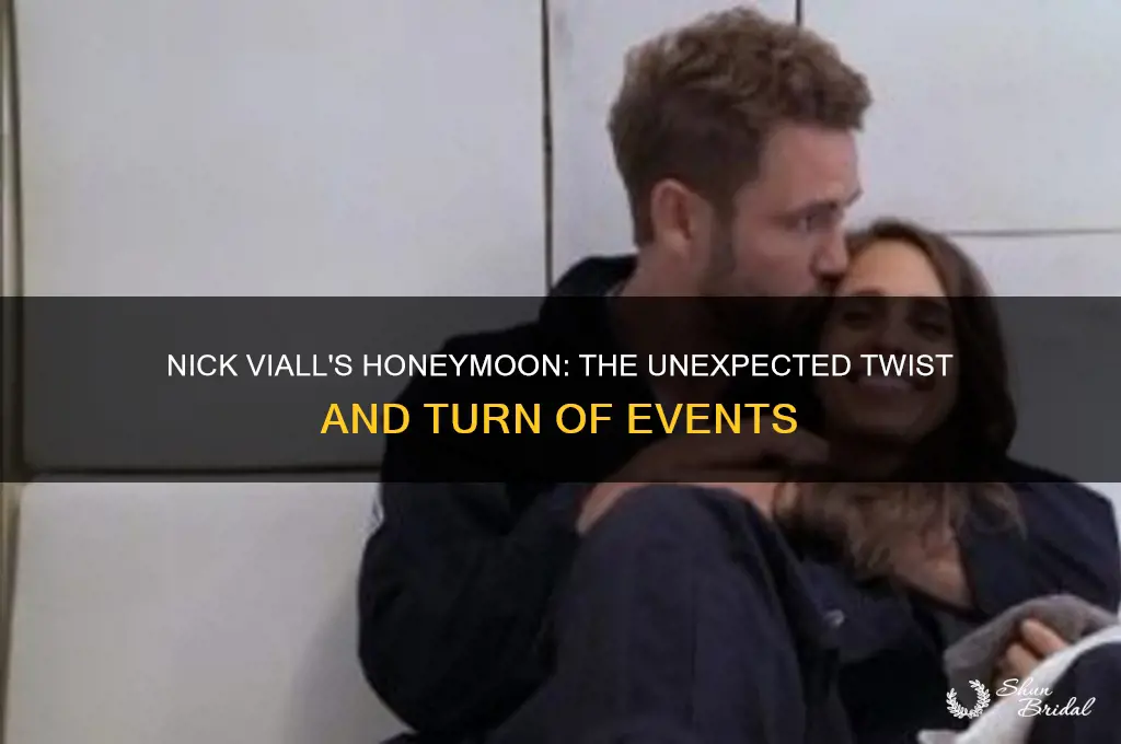 what happened to nick viall honeymoon