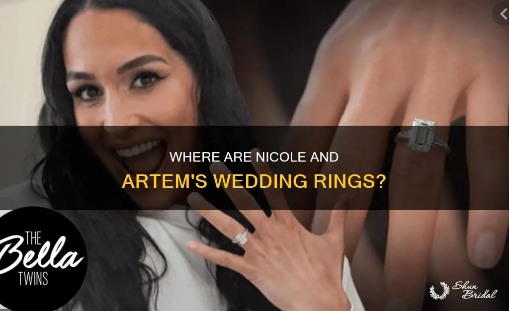 what happened to nicole and artem