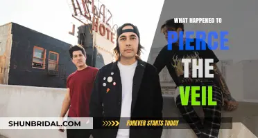 Pierce the Veil's Journey: Where Are They Now?