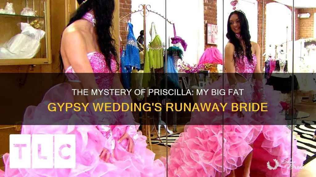 what happened to priscilla from my big fat gypsy wedding