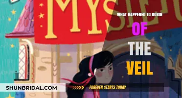 Unveiling the Mystery: What Happened to Robin of the Veil?
