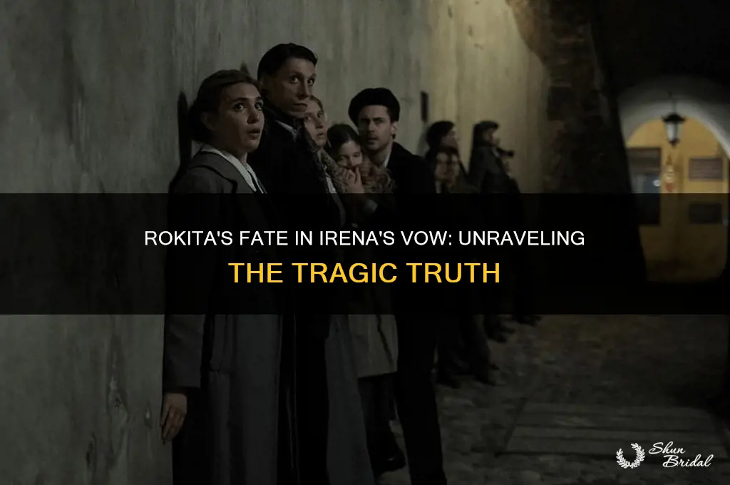 what happened to rokita in irena