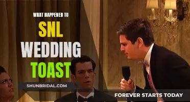 SNL's Wedding Toast: What Went Wrong?