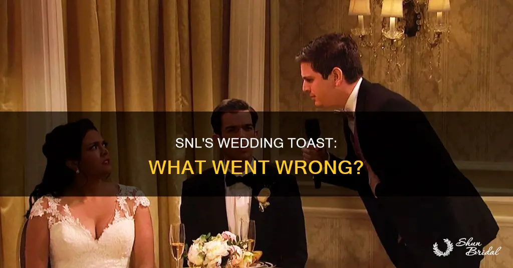 what happened to snl wedding toast